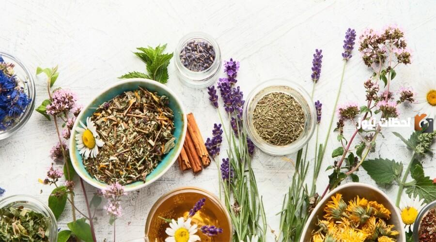 علاج التهاب المرارة بالأعشاب وطريقة التخلص من ألمها