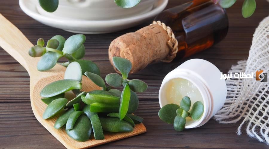 علاج الدوالى بالاعشاب الطبيعية من المنزل