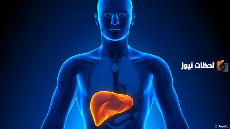 علاج الكبد الدهني بالأعشاب منزليا بطريقة آمنة ومجربة