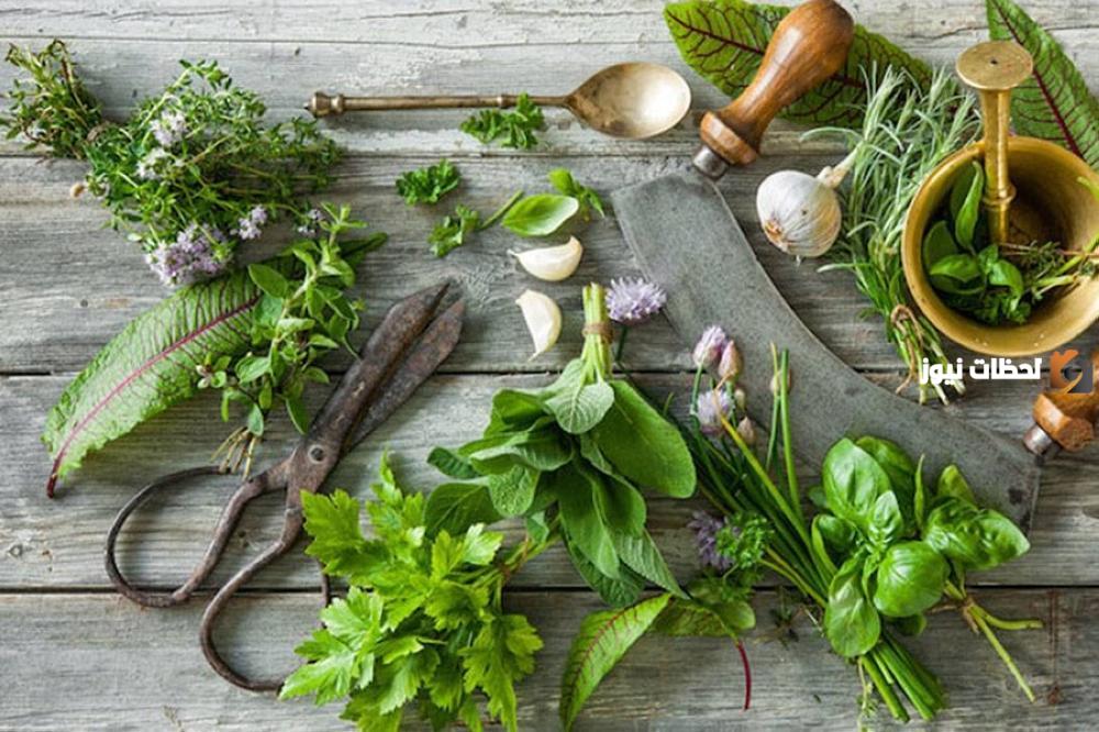 علاج الكلى بالاعشاب.. ما هي افضل عشبه لتنظيف الكلى؟