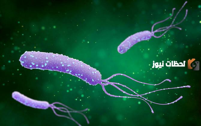 علاج الميكروب الحلزوني بالأعشاب بأسرع طريقة من المنزل