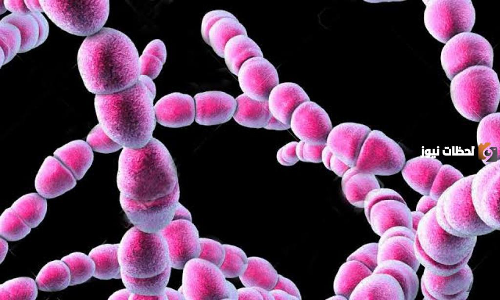 علاج الميكروب السبحى وتخفيف أعراضه بالاعشاب من المنزل