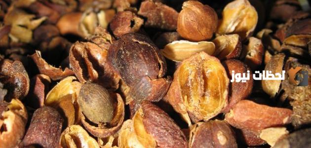 ما هي فوائد القشر للتنحيف1