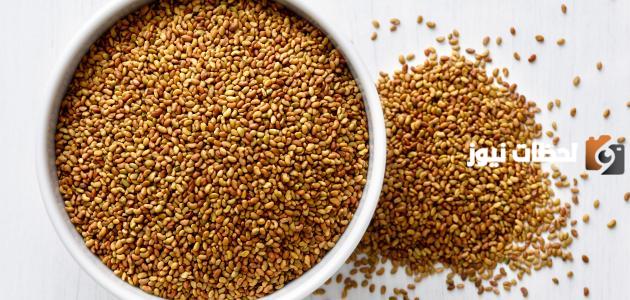 علاج الأنيميا بالأعشاب