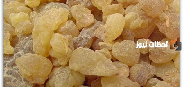 ما هي فوائد علك المر للتنحيف