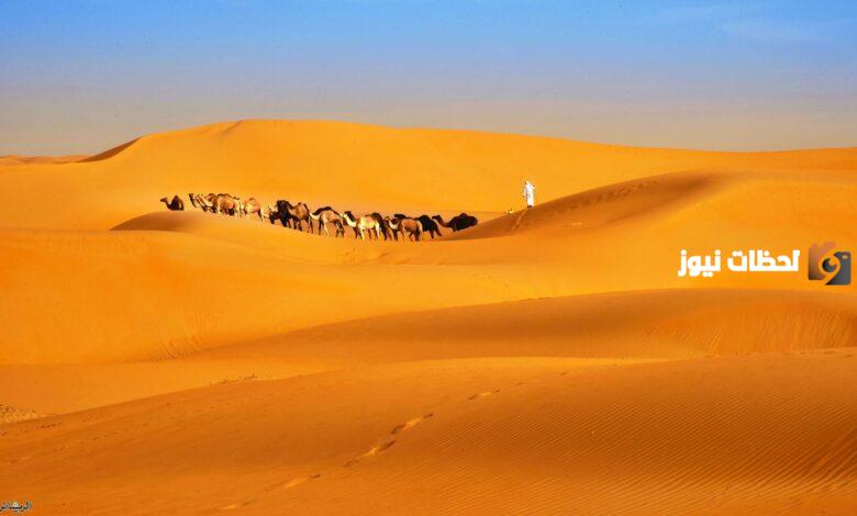 قبيله القثامي وش يرجعون وما أصلها ونسبها