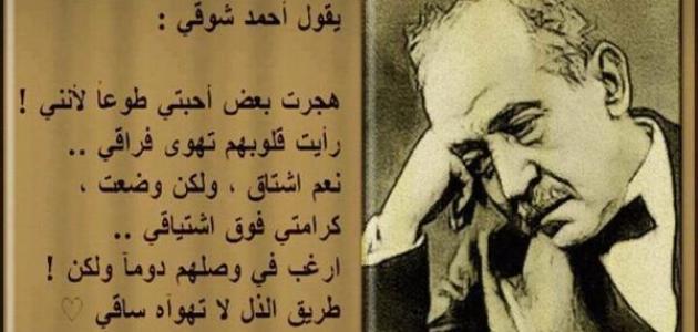 كلام راقي وجميل عن الحياة وأجمل ما قال الشعراء عن الدنيا