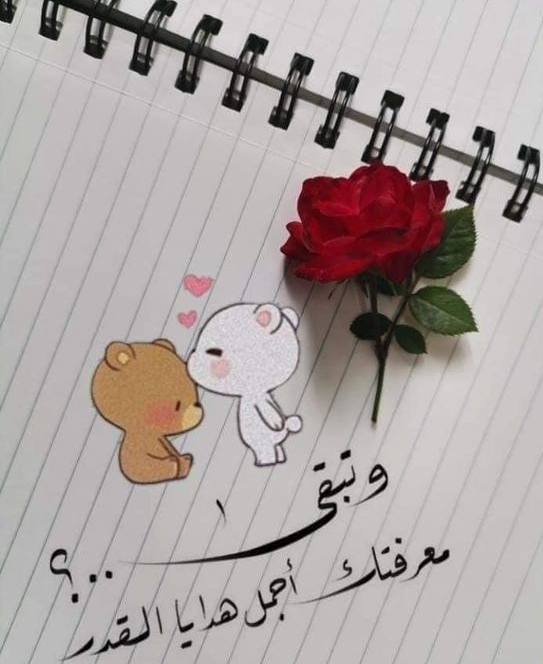 كلام من القلب للحبيب بالعامية والقلب المجروح