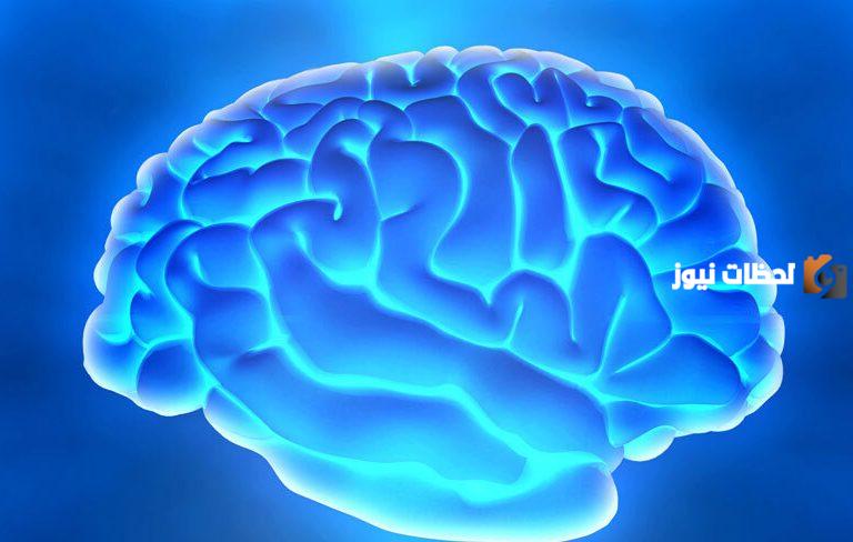 كم يبلغ عدد خلايا المخ وكم مرة تتجدد