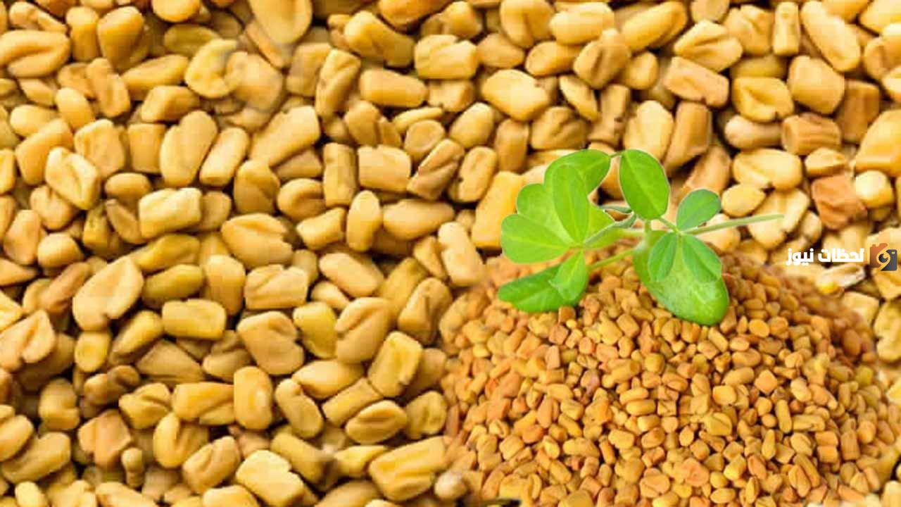 كيف أتناول الحلبة لزيادة الوزن وطرق استخدام الحلبة