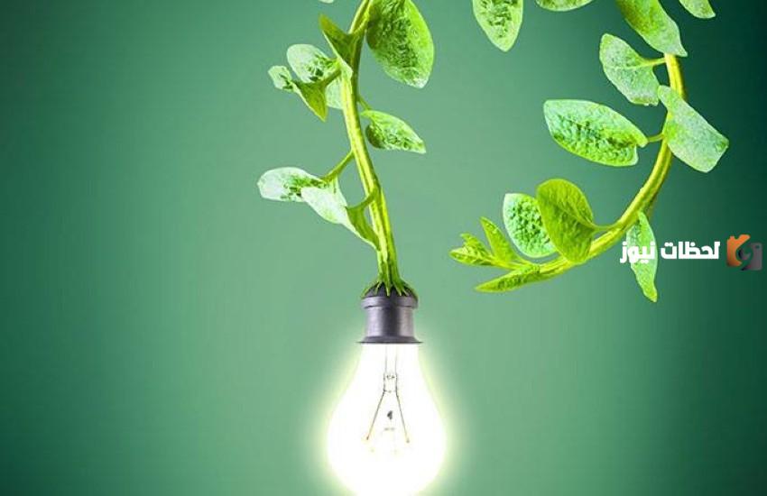 كيف نحافظ على الكهرباء؟! أفكار المحافظة على الطاقة الكهربائية