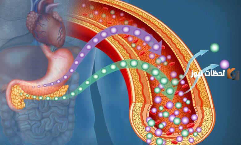ما هو العضو المسؤول عن إفراز الإنسولين في الجسم؟!