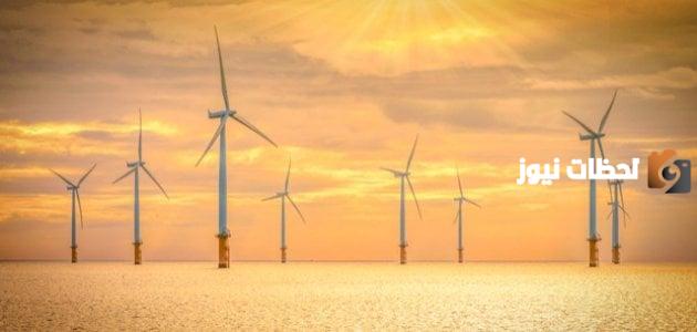 موضوع تعبير عن أهمية الهواء للكائنات الحية