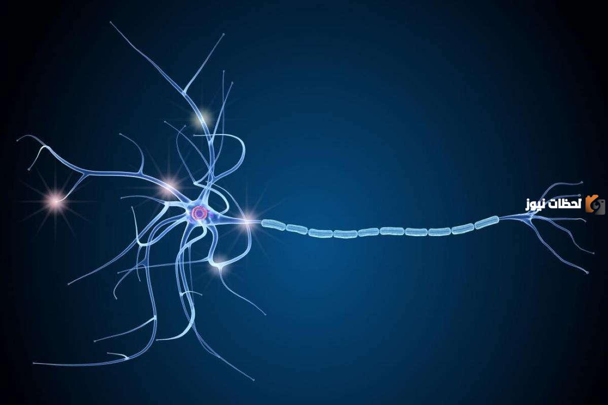 مرض ms وعلاجه وأهم المعلومات عنه وطرق الوقاية منه