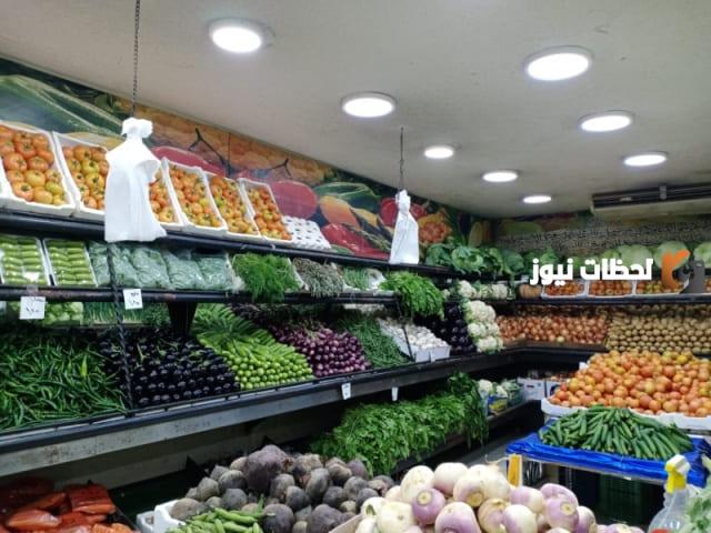 دراسة جدوى مشروع تجارة الفواكه والخضروات بالجملة جاهزة للطباعة