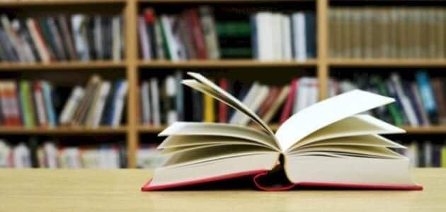 مقالة القشور واللباب والعبرة منها