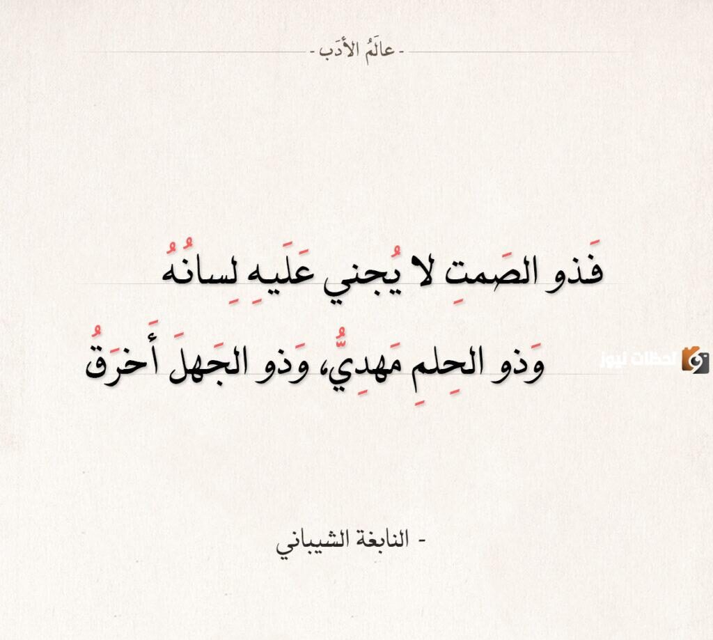 خواطر عن الصمت والهدوء