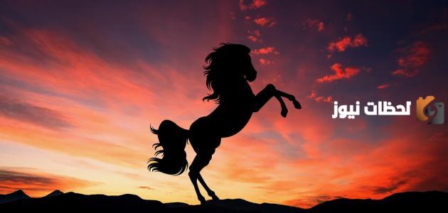 قصيدة أقنع ولا تطمع