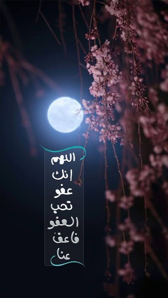 ليلة المعجزات وتحقق الأمنيات | كيف ندعو الله في ليلة القدر وما أحب الأدعية إليه؟