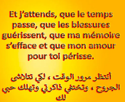 اجمل رسالة حب قصيرة بالفرنسية مترجمة