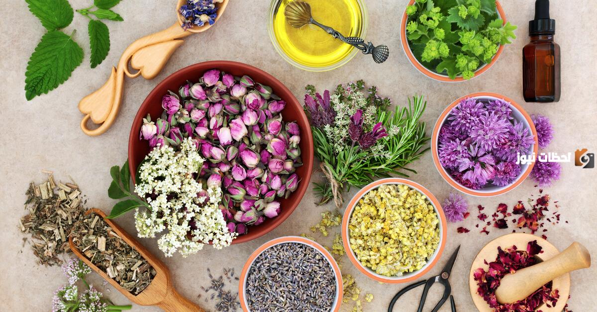 علاج تضخم البروستاتا بالأعشاب من المنزل بوصفات طبيعية مضمونة