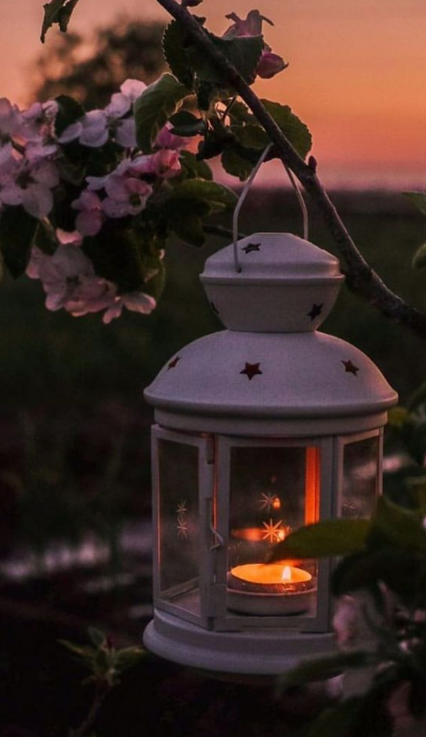 أحلى خلفيات رمضان 2025 صور فوانيس وأدعية تناسب الموبايل والكمبيوتر بجودة عالية