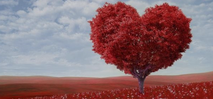 أجمل ما يقال للحبيبة في الصباح | كيف تصبح على حبيبتك بكلام حلو؟