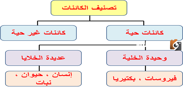 ما الفرق بين الكائنات الحية وغير الحية