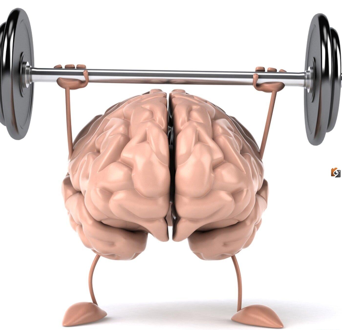 ما هو مفهوم الإعداد البدني