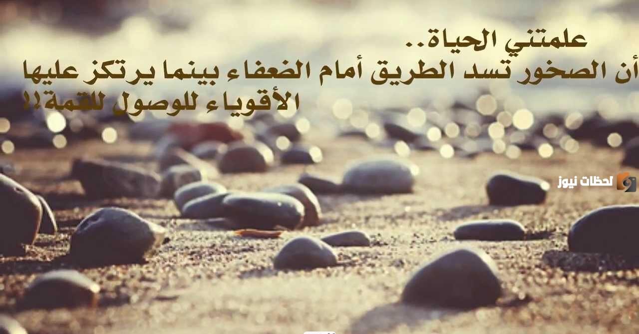 كلام عن واقع الحياة تويتر