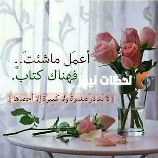عبارات جميلة عن الورد وعبارات جميلة حالات عن الورد للواتس