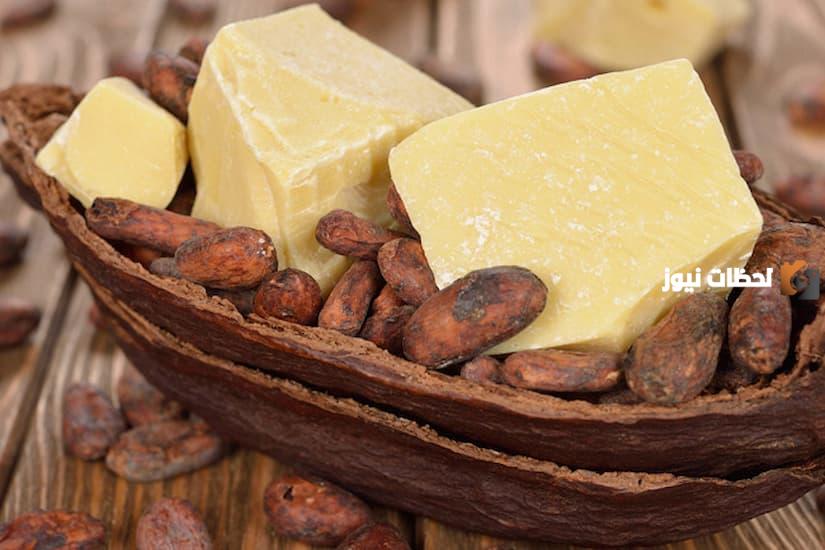 فوائد زبدة الشيا والكاكاو للجسم