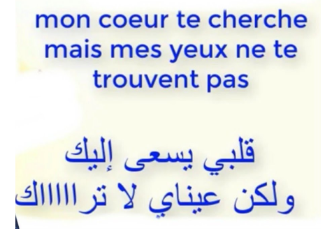 اجمل رسالة حب قصيرة بالفرنسية مترجمة