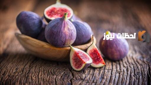 دراسة جدوى مشروع إنتاج مربى