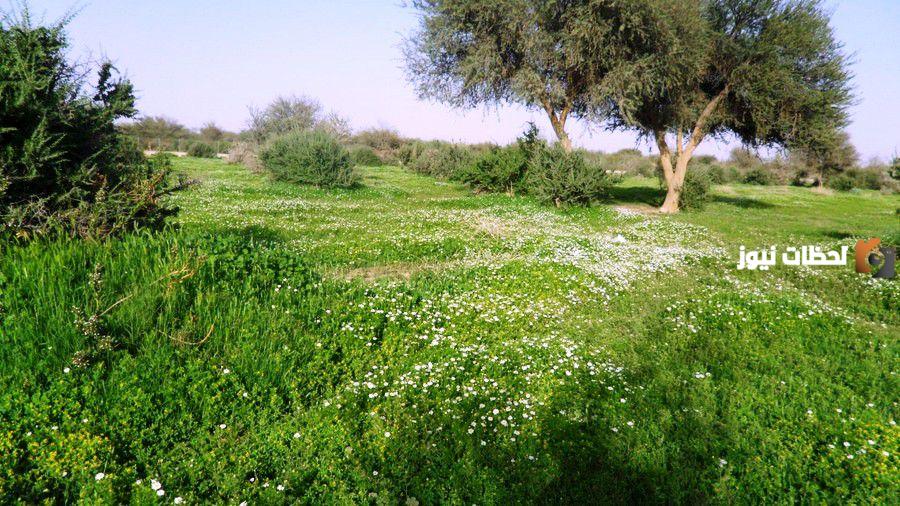 اين تقع روضة خريم على الخريطة