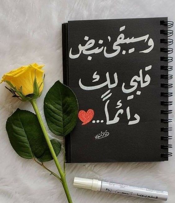 كلام حلو للحبيب | كلمات تمس القلب ارسلها لمن تحب؟