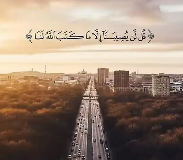 رسالة قرآنية في كل يوم من شهر رمضان.. آية لكل يوم في رمضان 2025 مع شرحها وحكمتها