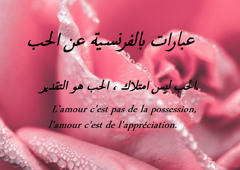 اجمل رسالة حب قصيرة بالفرنسية مترجمة