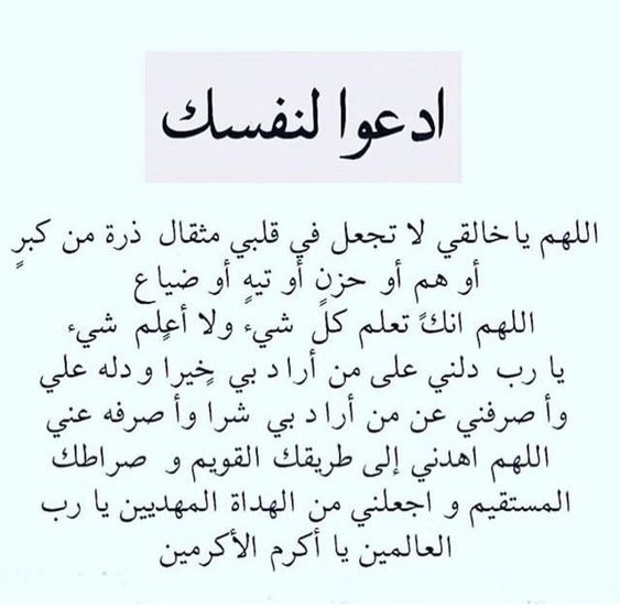 حالات واتس أدعية اليوم الثالث والعشرين من شهر رمضان 2025 من القرآن الكريم