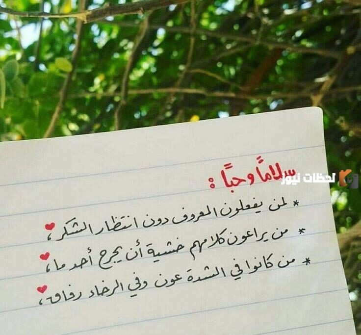 30 عبارة من عبارات شكر للطالبات المبدعات شكر وتقدير