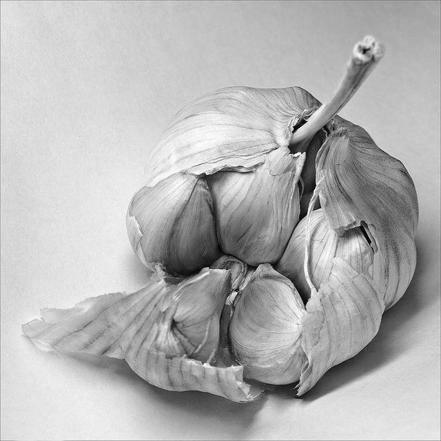 خطوات رسم الطبيعة الصامتة والتظليل بالقلم الرصاص