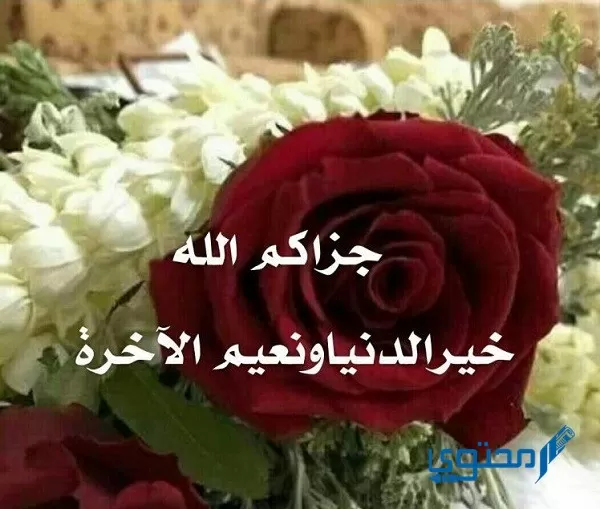 ما هو الرد على عز الله مقامك