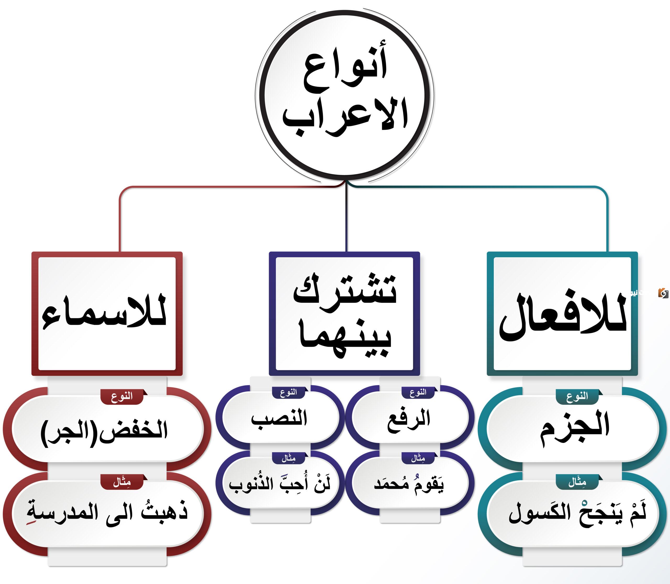 أنواع الإعراب في اللغة العربية وأبرز القواعد والأمثلة عليه