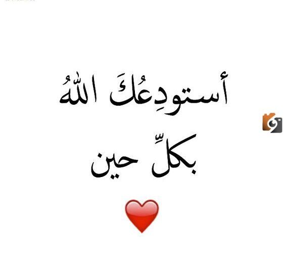 خواطر الاشتياق للحبيب الغائب