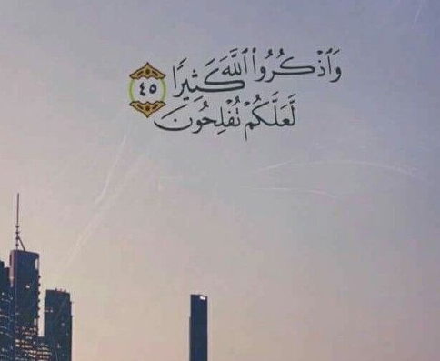 رسالة قرآنية في كل يوم من شهر رمضان.. آية لكل يوم في رمضان 2025 مع شرحها وحكمتها