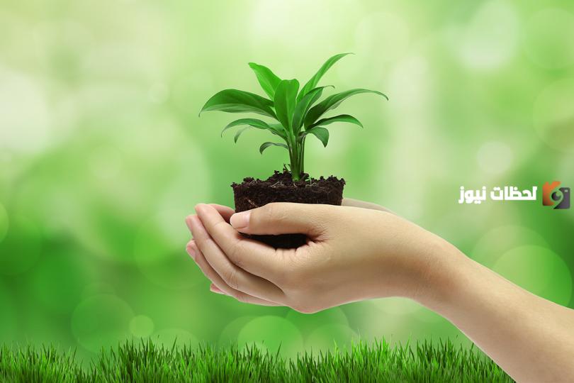 نتائج اختلال التوازن البيئي