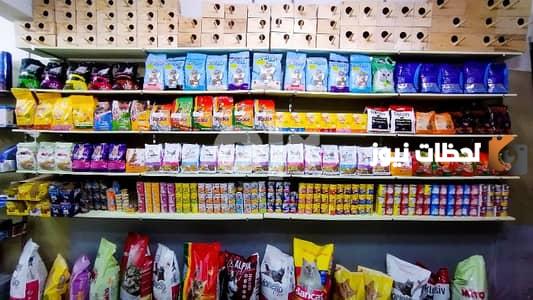 دراسة جدوى مشروع محل بيع مستلزمات حيوانات أليفة جاهزة للطباعة