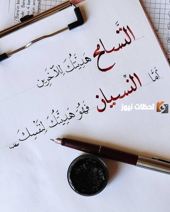 حكمة عن التسامح