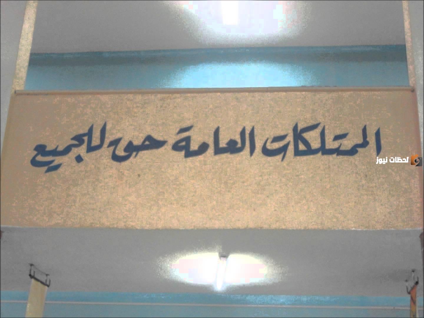 تعريف الممتلكات العامة