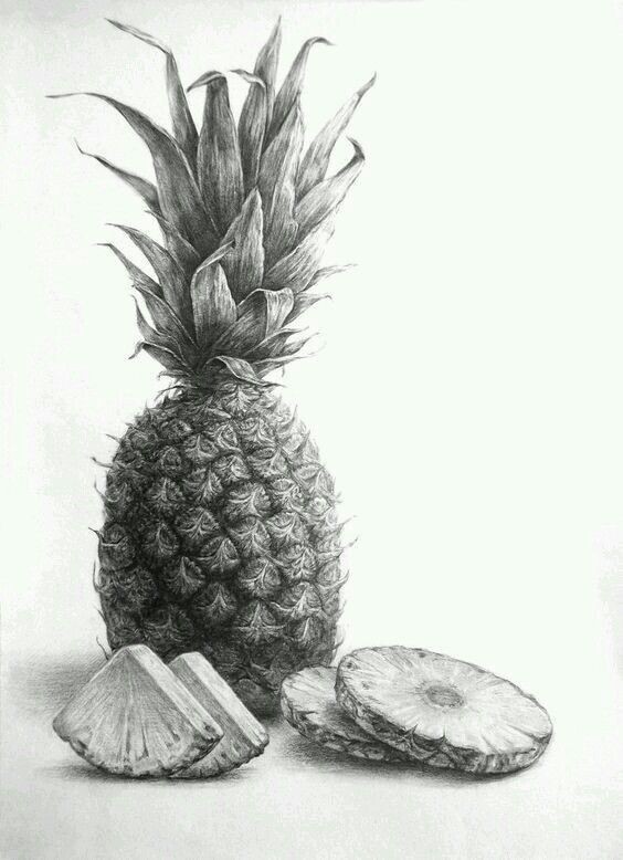 خطوات رسم الطبيعة الصامتة والتظليل بالقلم الرصاص